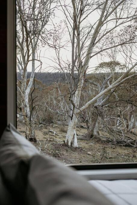 Big Yard Escapes - Two Off-Grid Tiny Houses On The Mowamba River Джиндабайн Екстериор снимка
