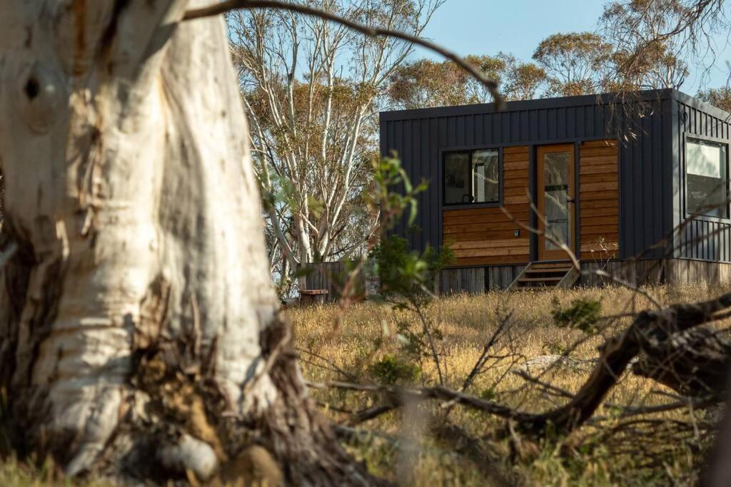 Big Yard Escapes - Two Off-Grid Tiny Houses On The Mowamba River Джиндабайн Екстериор снимка